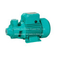 Qb/Pkm60 1/2 HP Pump for Home Use